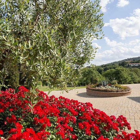 Poggio Pellicciaia Villa อาเรซโซ ภายนอก รูปภาพ